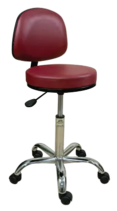 Professional Stool with Backrest